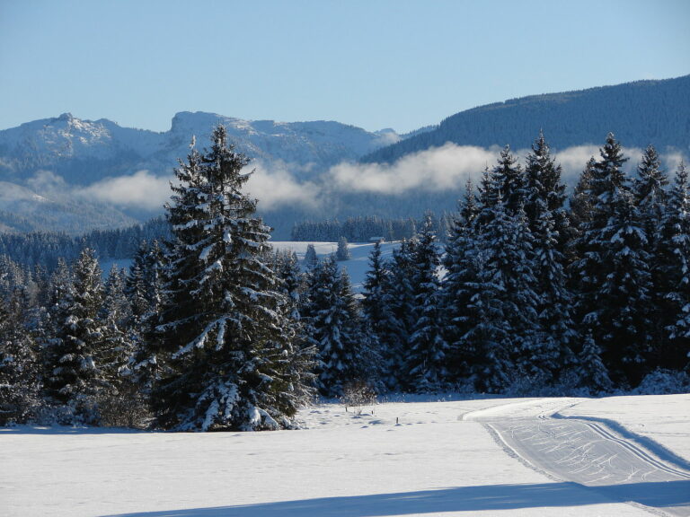 Pfaffenwinkel Wildsteig Loipe