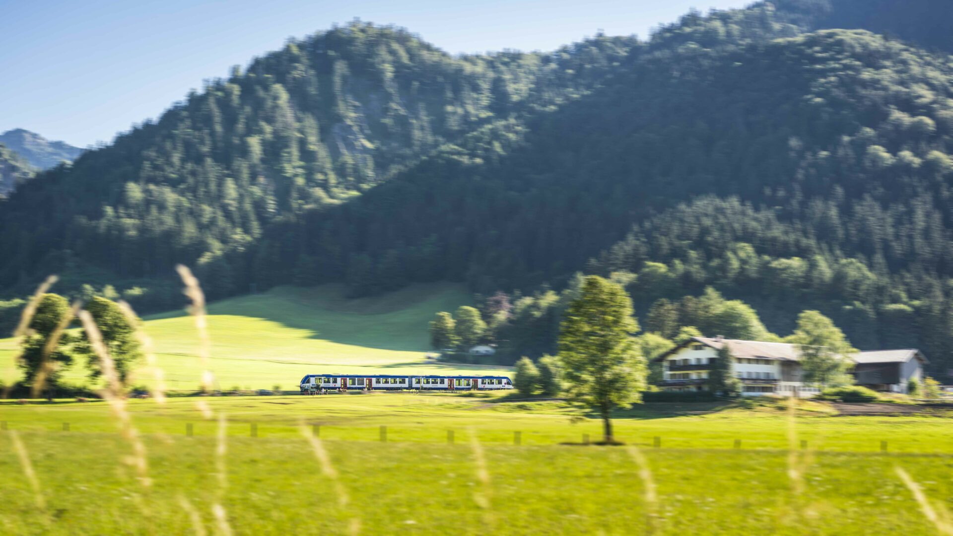 Ein Zug inmitten grüner Landschaft bei Fischhausen.