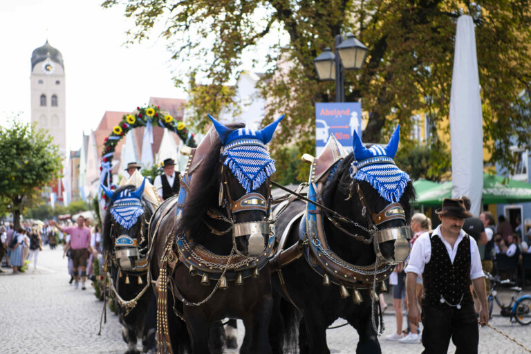 Bild zu Kulturgenuss im Herbst